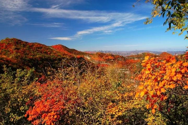 仙臺山風景區(qū)，自然之美盡收眼底，仙臺山風景區(qū)，自然之美的全景展現(xiàn)